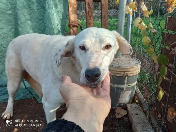 MONIA 20 KG DI BELLEZZA | Foto 1