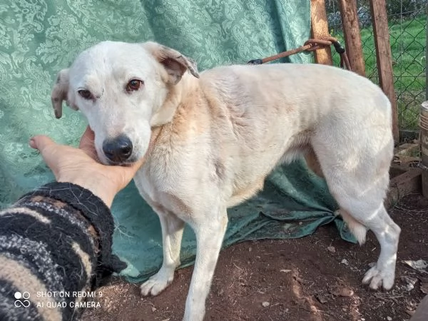 MONIA 20 KG DI BELLEZZA | Foto 0