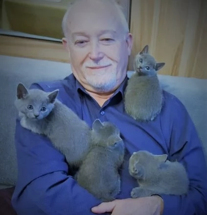 gatti di blue di russia