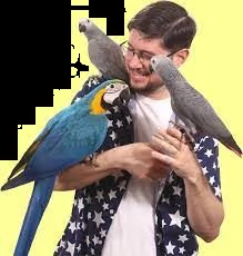 pappagalli in vendita