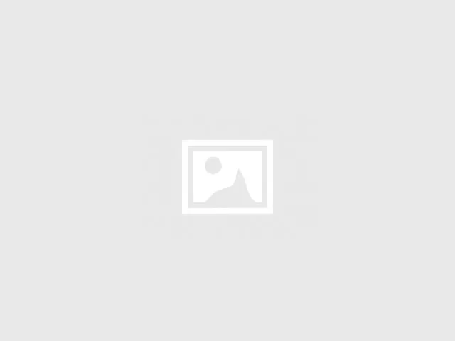 cocker blu roano maschio | Foto 0