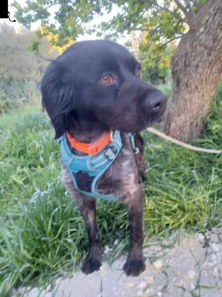 natalia breton in adozione dalla  | Foto 3