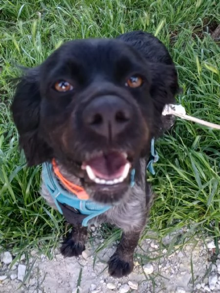 natalia breton in adozione dalla 