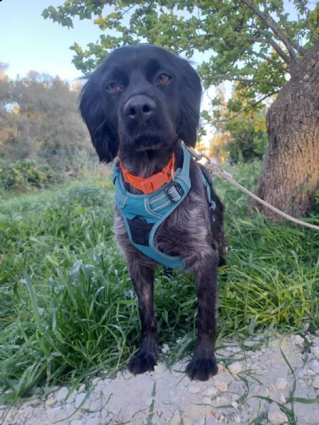 natalia breton in adozione dalla  | Foto 2