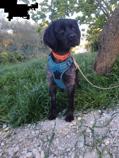 natalia breton in adozione dalla  | Foto 1