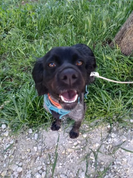 natalia breton in adozione dalla  | Foto 0