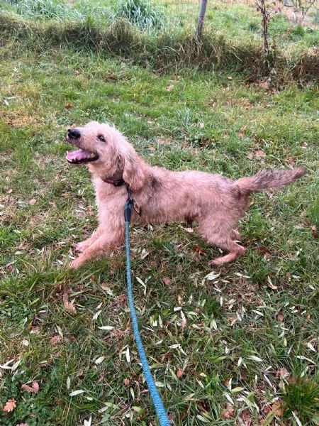 IL DOLCISSIMO JERRY | Foto 1