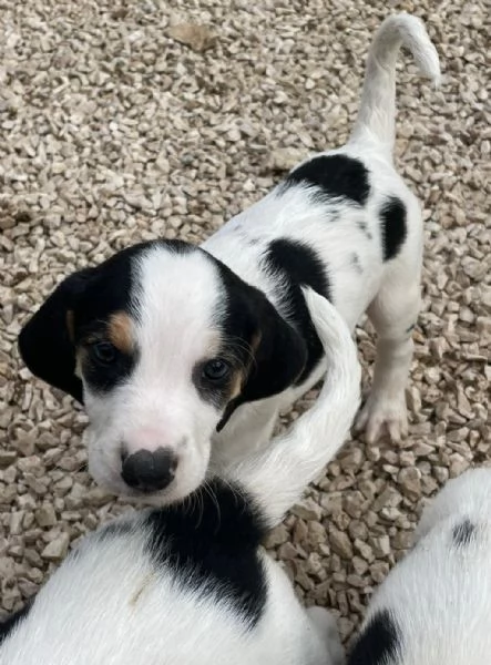 SELENE DOLCE SEGUGINA | Foto 3