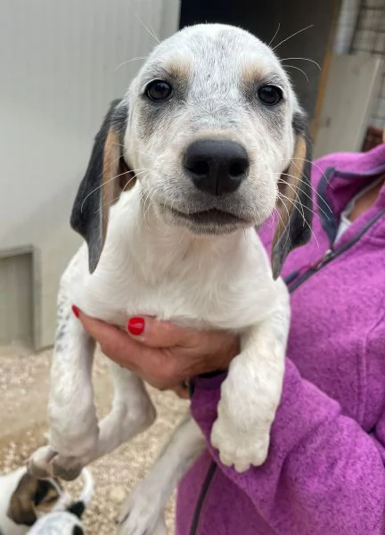 SELENE E SIRYA | Foto 6