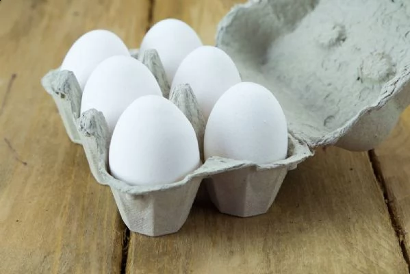 vendita uova fresche galline allevate a terra