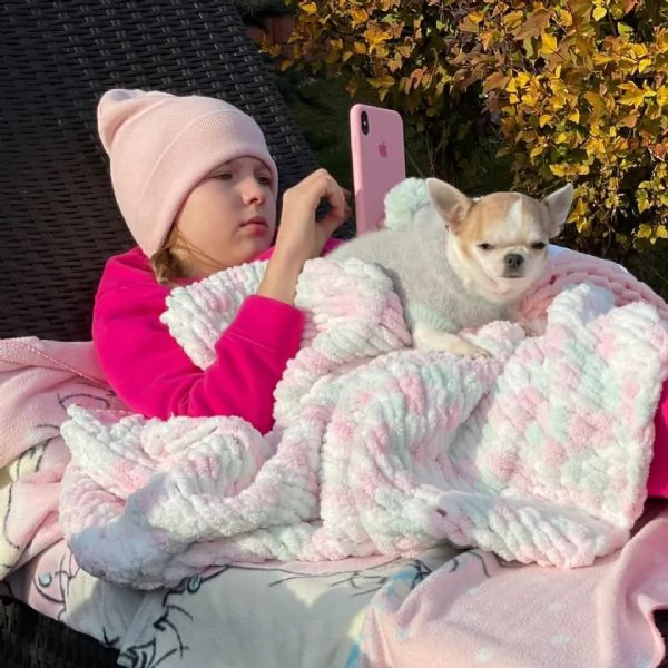 affascinante chihuahua maltese t-cup disponibile per qualsiasi nuova famiglia offro due cuccioli di 