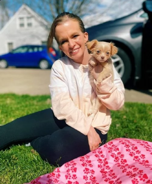 adorabili cuccioli di chihuahua eccezionali pronti per la loro nuova e adorabile casa per sempre. bu | Foto 0