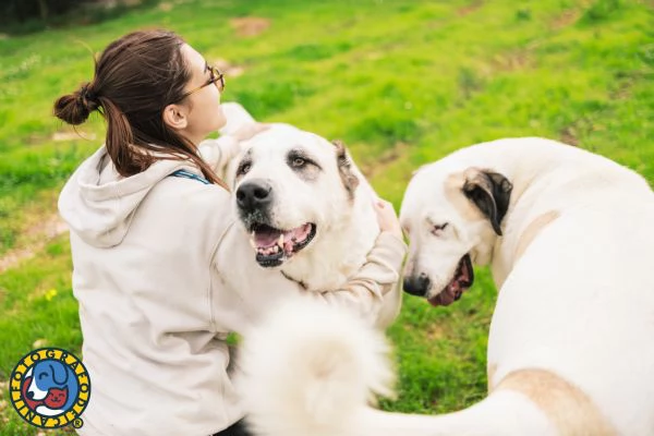 Sarabi e Simba, mamma e figlio.