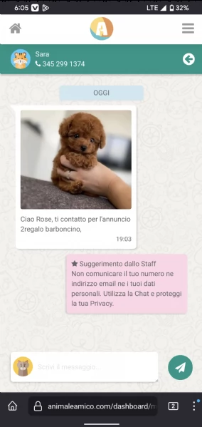 2regalo barboncino