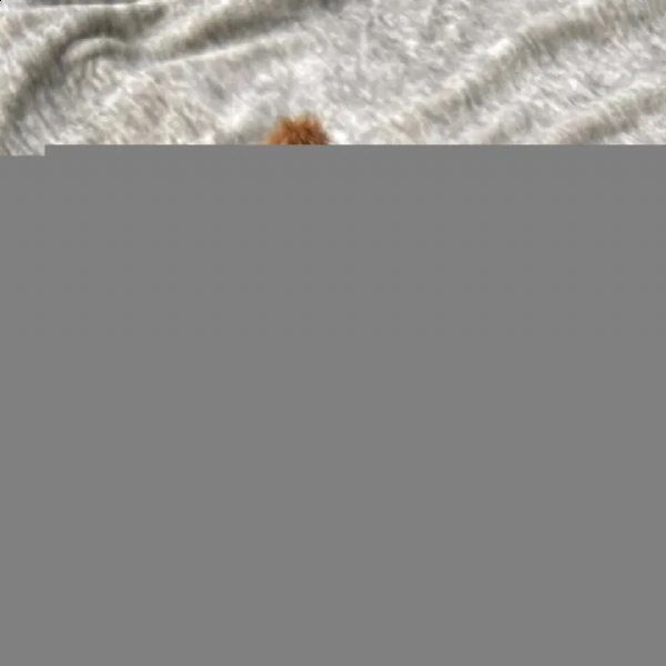 2regalo barboncino# | Foto 0