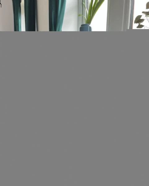 adorabile cucciolo di labrador