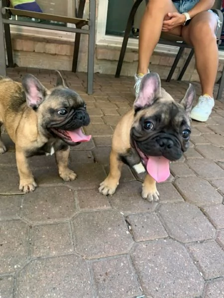 adorabili bambini pronti per andare in nuove case 