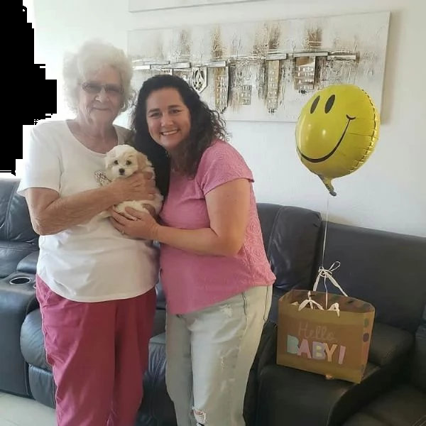 cuccioli maltesi intelligenti **adozione gratuita** siamo 6 cuccioli maltesi di razza pura. 2 maschi | Foto 0