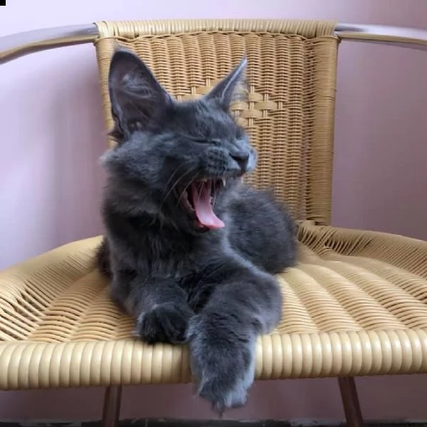  titolo breve per la tua 