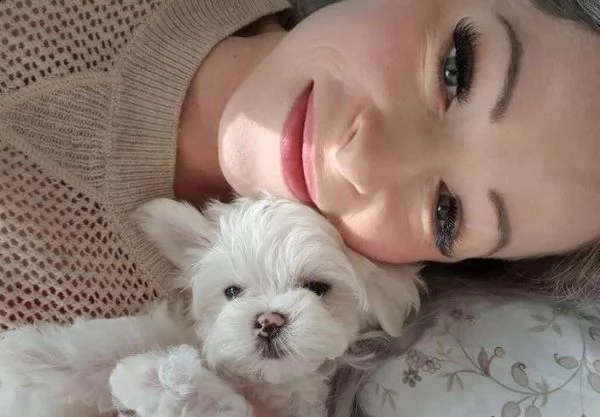 cuccioli di maltese maschi e femmine sani, cercano una nuova famiglia cuccioli maltesi maschi e femm | Foto 0