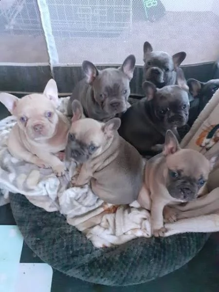 maschi e femmine  | Foto 0