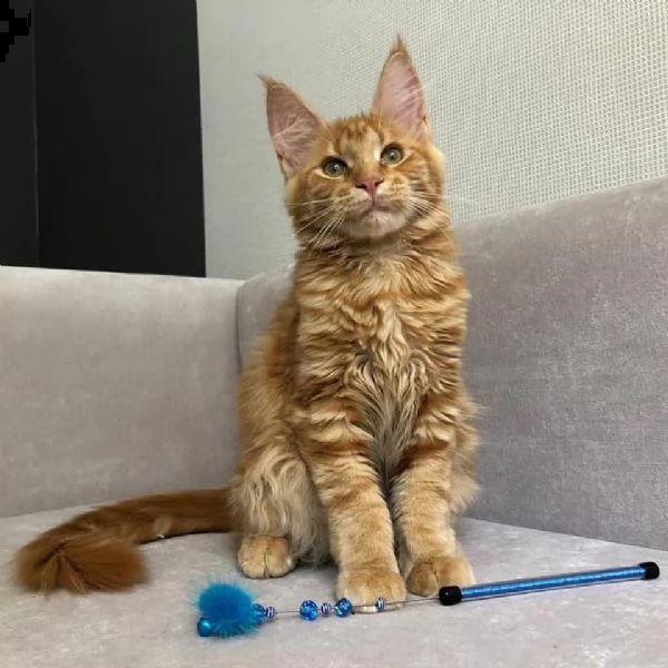  titolo breve per la tua sicure