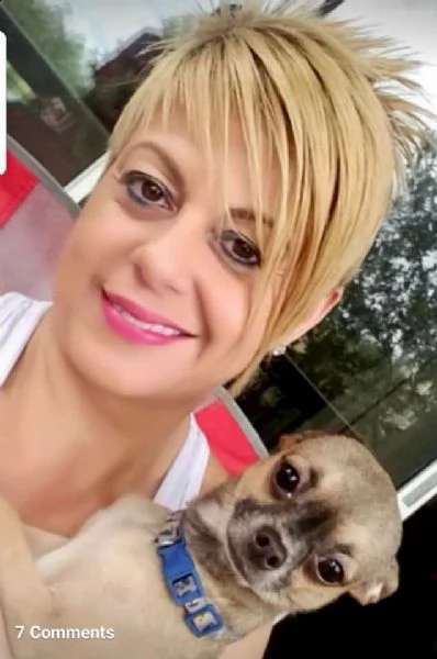 bellissimi cuccioli di chihuahua con pedigree i nostri piccoli tesori vivono con noi in casa con i n