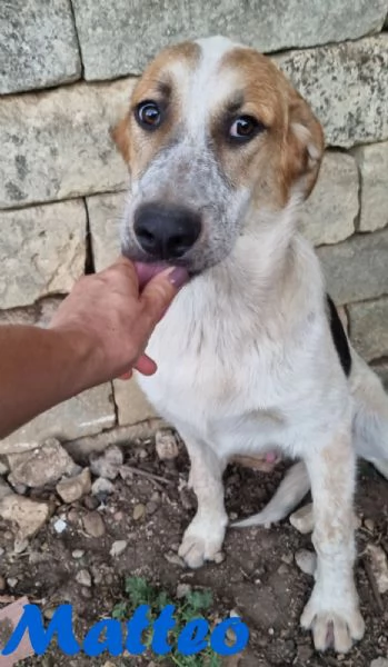 Matteo - gioioso e amorevole