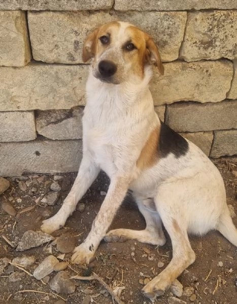 Matteo - gioioso e amorevole | Foto 2