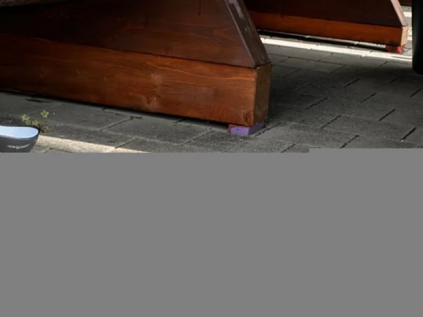 dolcissimi cuccioli di jack russel cercano una casa amorevole! | Foto 0