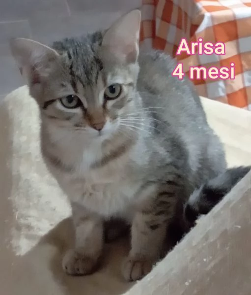 micini invisibili ed esclusi da chiunque