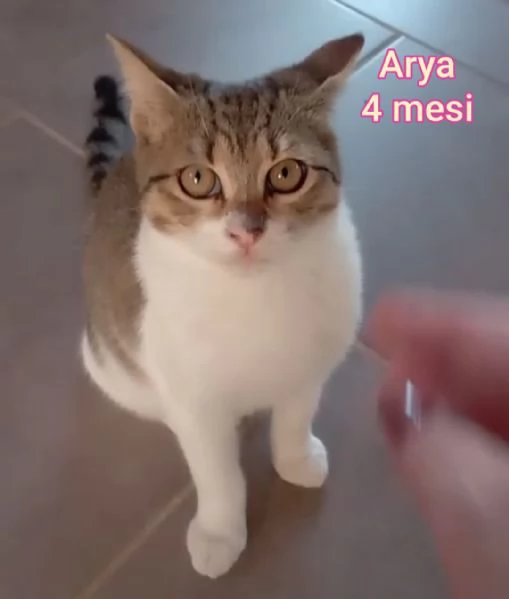 micini invisibili ed esclusi da chiunque | Foto 5