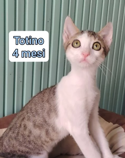 micini invisibili ed esclusi da chiunque | Foto 4