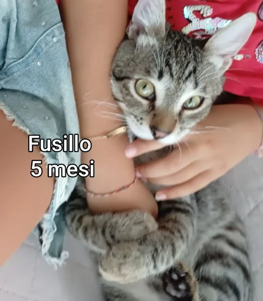 micini invisibili ed esclusi da chiunque | Foto 3