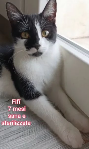 micini invisibili ed esclusi da chiunque | Foto 4