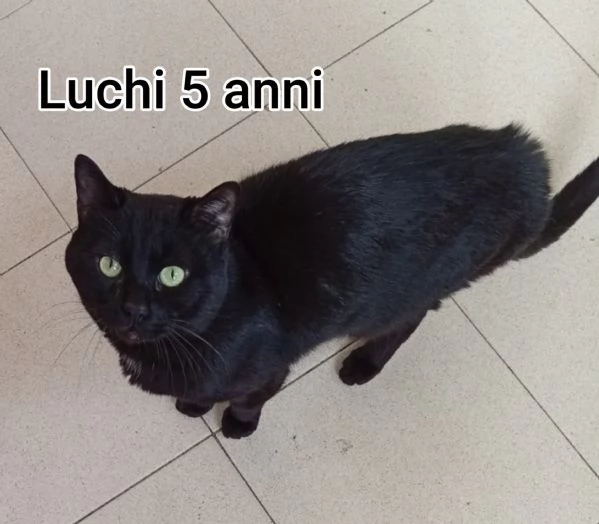 MICINI GETTATI COME SPAZZATURA | Foto 5