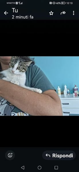 PICCOLO MICETTO DI APPENA 5 MESI, DOLCE E BUONO | Foto 2