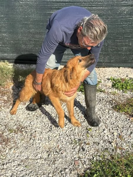 NINA, 10 mesi bellissima, dolce e buonissima | Foto 0