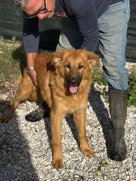 NINA, 10 mesi bellissima, dolce e buonissima