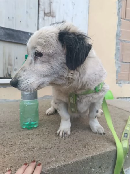 PORTAMI A CASA! STO ASPETTANDO