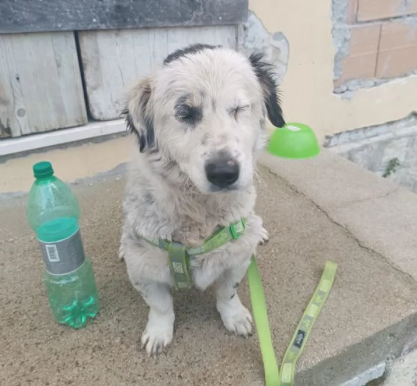 PORTAMI A CASA! STO ASPETTANDO | Foto 0