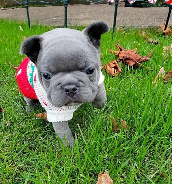 Regali di Natale Disponibili per i vostri cari | Foto 1