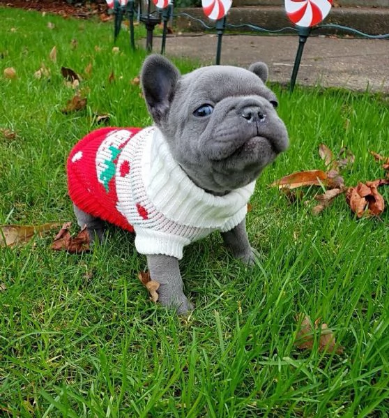 Regali di Natale Disponibili per i vostri cari