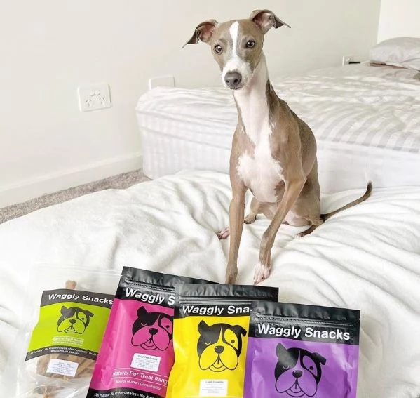 Cuccioli di levriero italiano. | Foto 2