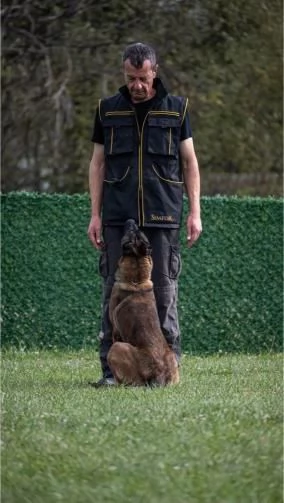 Pastore Belga Malinois femmina in vendita | Foto 2