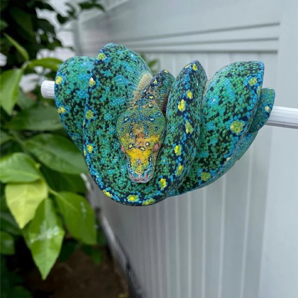 Sto cercando di sistemare la collezione della mia defunta moglie | Foto 0