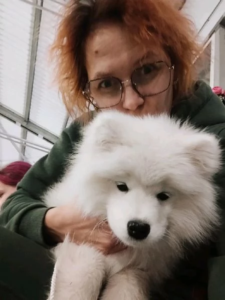 Disponibili Cuccioli di Samoiedo | Foto 0