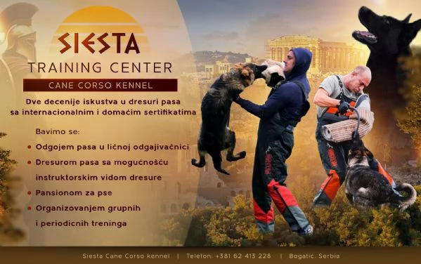 Centro addestramento cani