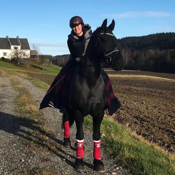  Bellissima cavalla frisona nera!!