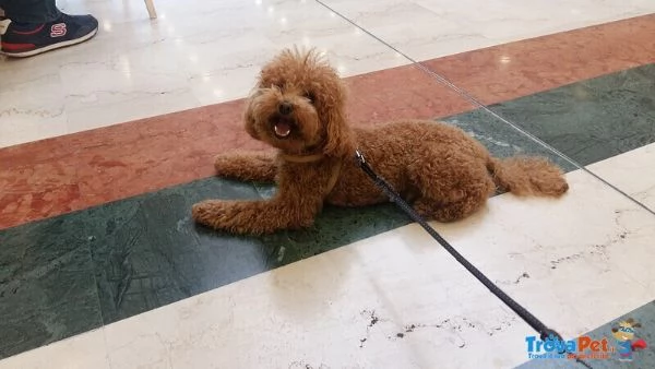 Giovani Sulcata | Foto 4